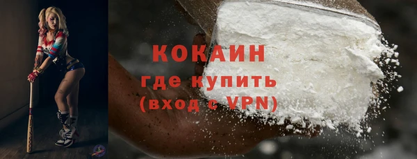 шишки Краснослободск