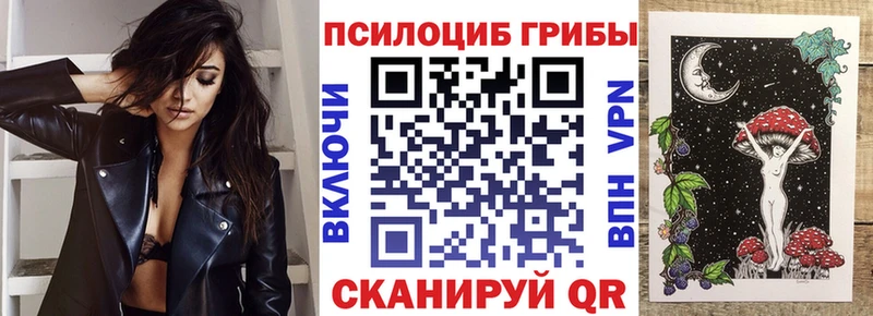 OMG зеркало  Шенкурск  Псилоцибиновые грибы Psilocybine cubensis 