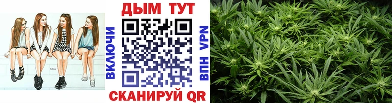 это наркотические препараты  Шенкурск  Конопля THC 21% 